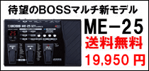 BOSS ME-25